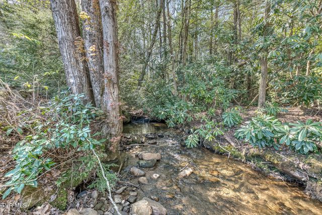 1650 Sluder Road, Shady Valley, TN 37688