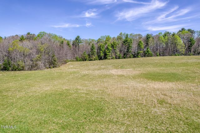 1650 Sluder Road, Shady Valley, TN 37688