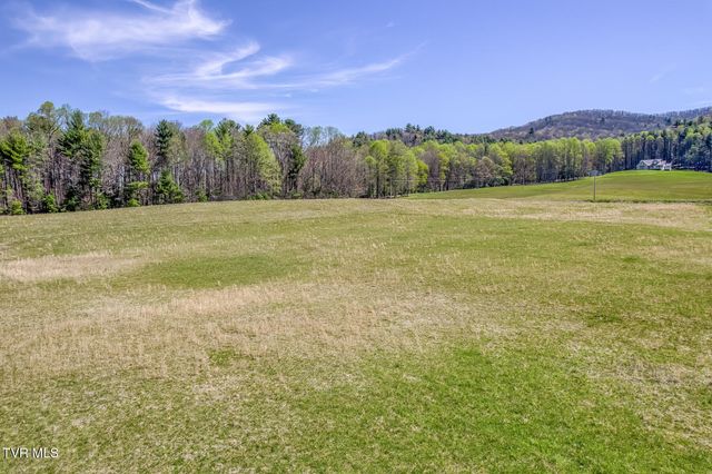 1650 Sluder Road, Shady Valley, TN 37688