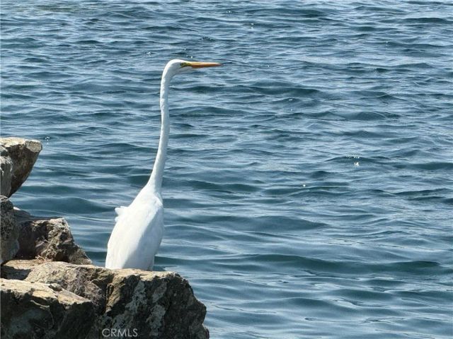 541 Jasper St, Rancho Mission Viejo, CA 92694