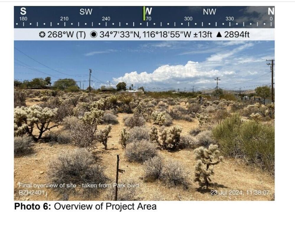 Image 10 of property listing at 6990 Park Boulevard, Joshua Tree, CA 92252