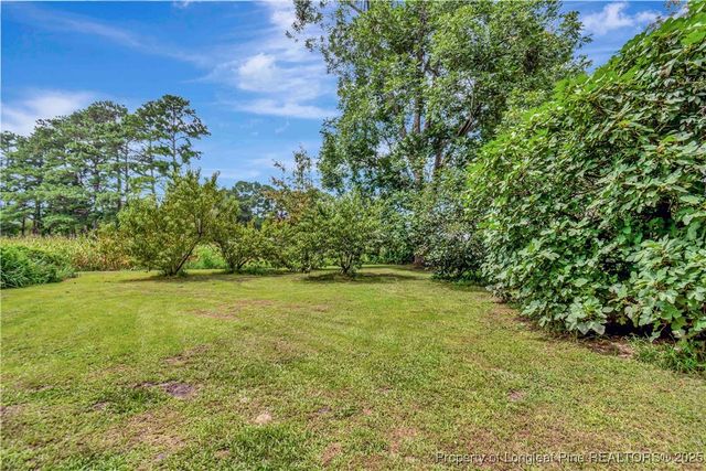 1079 Charlie Williamson Road, Whiteville, NC 28472