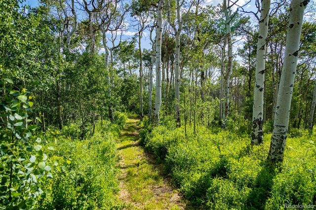 6903 Bellyache Ridge Road, Wolcott, CO 81655