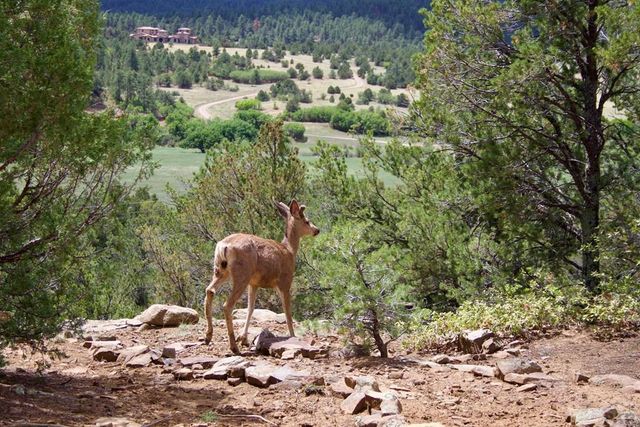 22750 County Rd 46, Aguilar, CO 81020