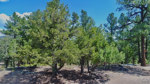 22750 County Rd 46, Aguilar, CO 81020