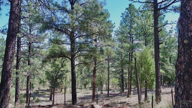 22750 County Rd 46, Aguilar, CO 81020