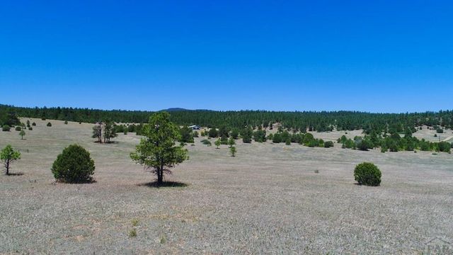 22750 County Rd 46, Aguilar, CO 81020
