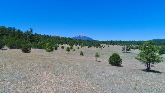 22750 County Rd 46, Aguilar, CO 81020