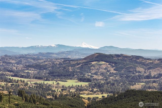 209 High Bank Lane, Woodland, WA 98674