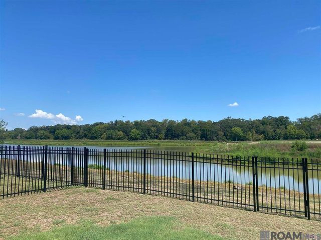13023 Great Tern Ave, Baton Rouge, LA 70810