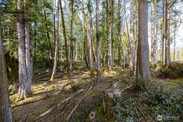 0 NHN H Street Road, Blaine, WA 98230