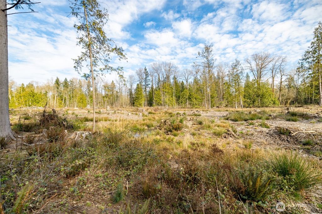 0 NHN H Street Road, Blaine, WA 98230