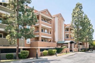 401 S Norfolk St 301, San Mateo, CA 94401