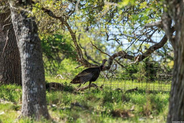 283 Dally Road, Fredericksburg, TX 78624