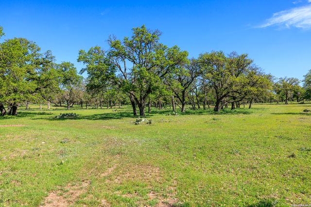 283 Dally Road, Fredericksburg, TX 78624