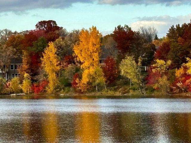 1401 Larkspur Court, Woodbury, MN 55129