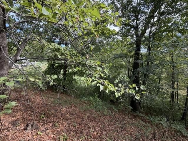25381 167th Street NW, Big Lake, MN 55309
