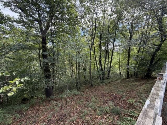 25381 167th Street NW, Big Lake, MN 55309