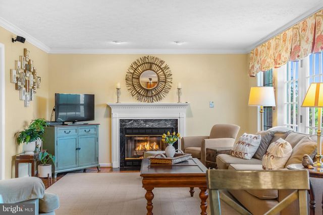 24 YOUNG BRANCH DR, Middletown, MD 21769