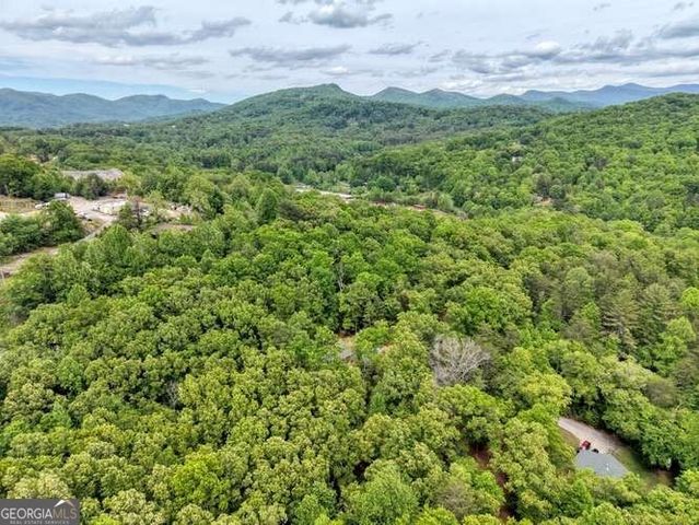 18 Canine Trail, Blairsville, GA 30512