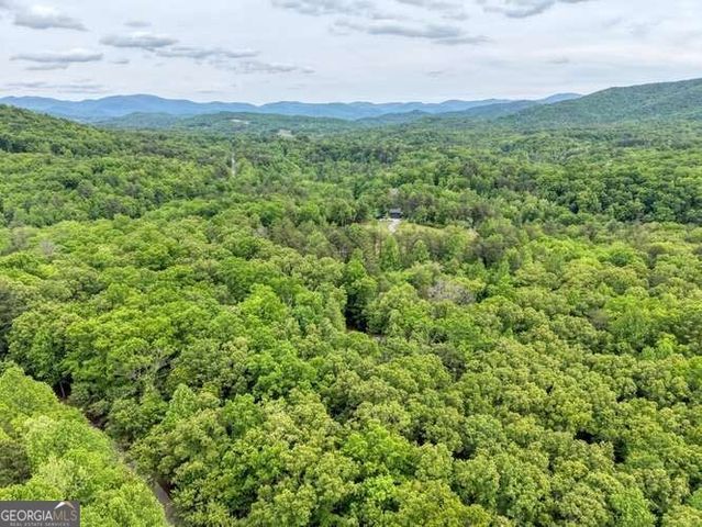 18 Canine Trail, Blairsville, GA 30512
