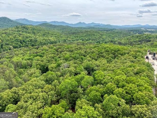 18 Canine Trail, Blairsville, GA 30512