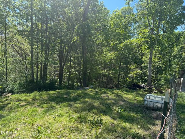 12432 Crab Orchard Road, Coeburn, VA 24230