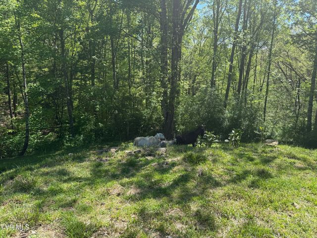 12432 Crab Orchard Road, Coeburn, VA 24230