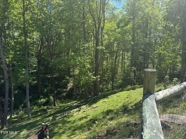 12432 Crab Orchard Road, Coeburn, VA 24230