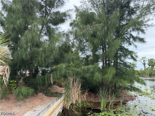 1007 NE 37th TER, Cape Coral, FL 33909