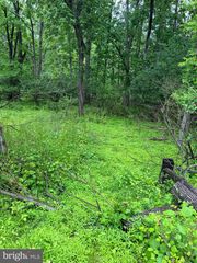 2518 IRISH CREEK ROAD, Mohrsville, PA 19541