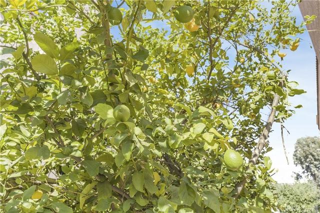 1141 Via Antibes, Redlands, CA 92374