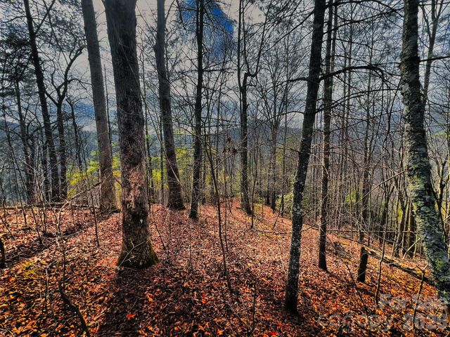 232 Thorncliff Road 82, Marshall, NC 28753