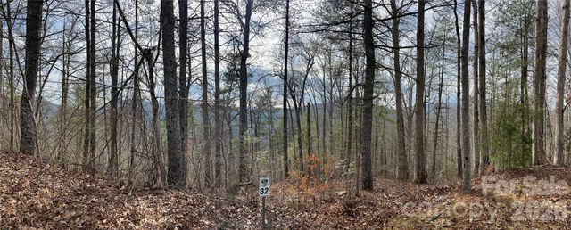 232 Thorncliff Road 82, Marshall, NC 28753