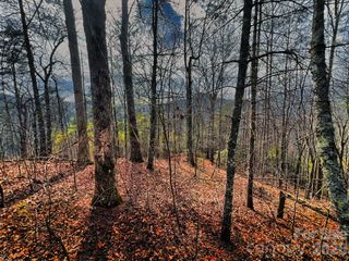 232 Thorncliff Road 82, Marshall, NC 28753