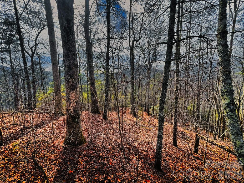 232 Thorncliff Road 82, Marshall, NC 28753