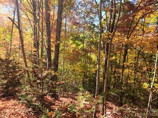 00 Angel of the Lake Drive 17, Lake Lure, NC 28746