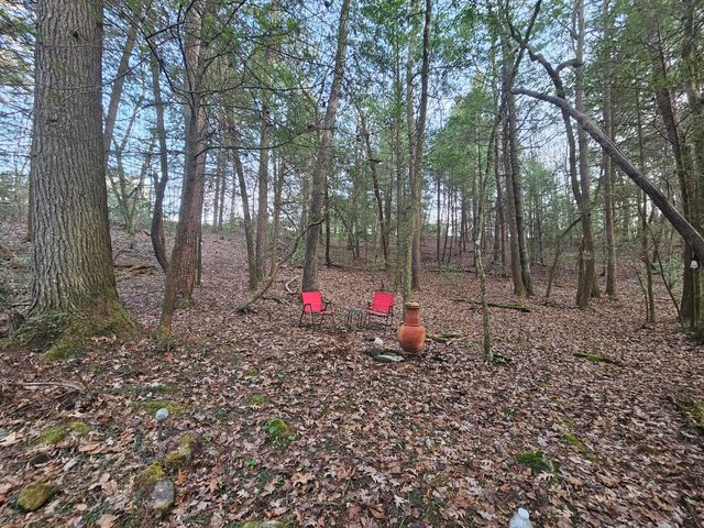 100 Clendenon Road, Spencer, TN 38585