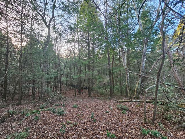 100 Clendenon Road, Spencer, TN 38585