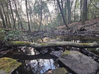 100 Clendenon Road, Spencer, TN 38585