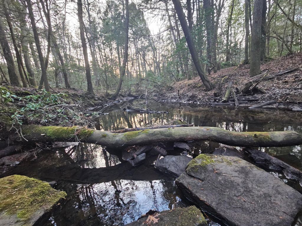 100 Clendenon Road, Spencer, TN 38585