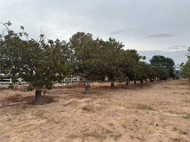 33979 Fremont Rd, Newberry Springs, CA 92365