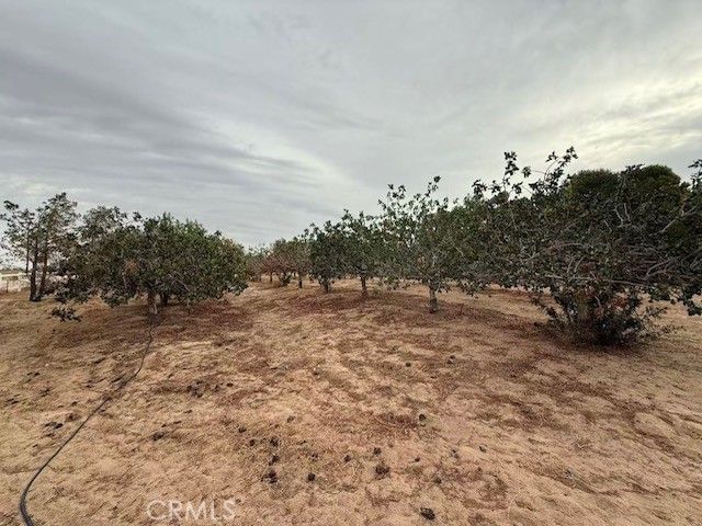 33979 Fremont Rd, Newberry Springs, CA 92365