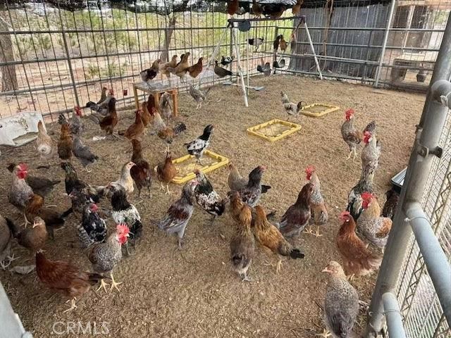 33979 Fremont Rd, Newberry Springs, CA 92365