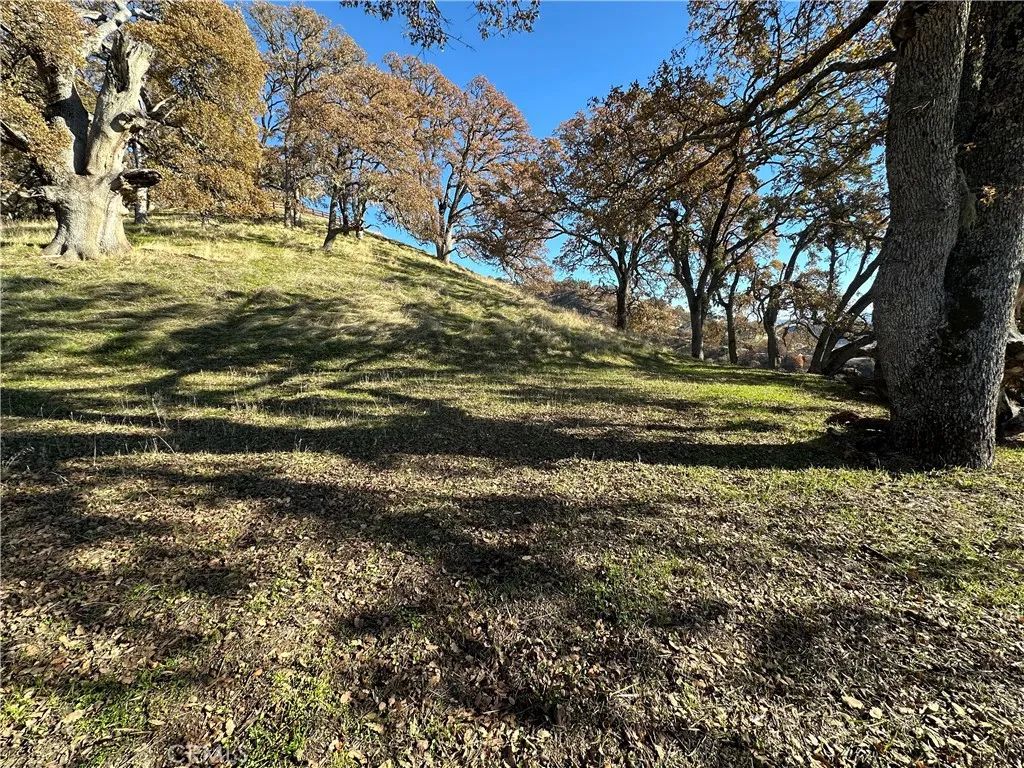 Image 12 of property listing at 7272 E Highway 20, Lucerne, CA 95458