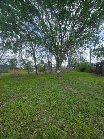 4917 Paula Street, Houston, TX 77033