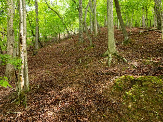 LT 2601 Parker Way, Ellijay, GA 30540