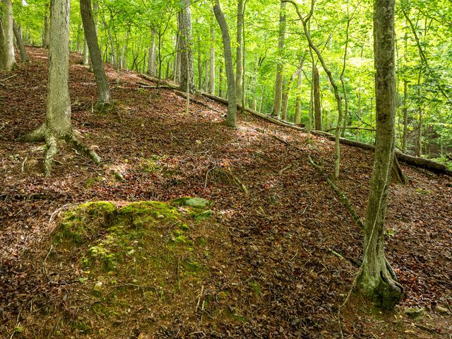 LT 2601 Parker Way, Ellijay, GA 30540