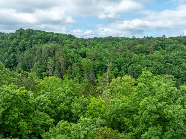 LT 2601 Parker Way, Ellijay, GA 30540