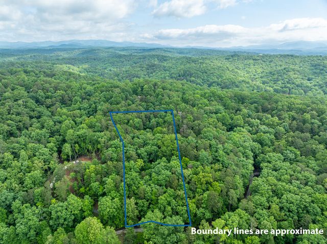 LT 2601 Parker Way, Ellijay, GA 30540